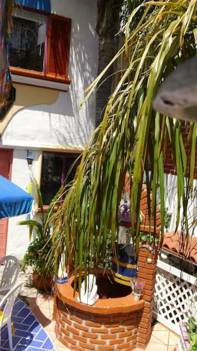 Amazingly Romantic Vacation For Your Honeymoon Tijuana Exterior foto